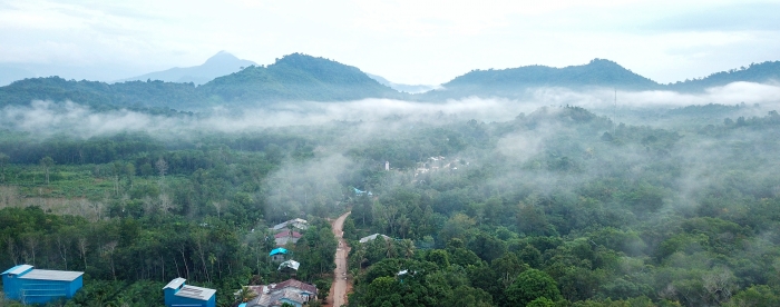 Without forest, no water, no Dayak - Conserving a village forest in West Kalimantan
