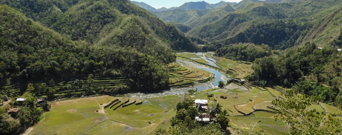 In the Philippines, community forestry can help the climate agenda, and vice versa - In conversation with Heidi Mendoza