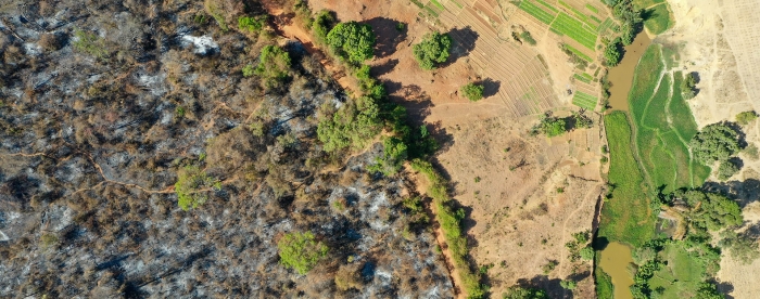 “Agricultural firebreaks are proving to be a valuable tool in helping to reduce the risk of wildfires”