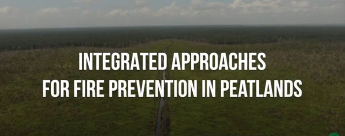 Integrated approaches for fire prevention in peatlands