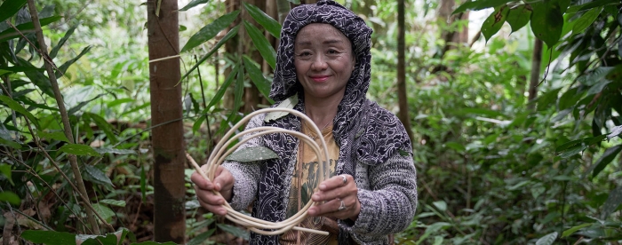 Safeguarding Indigenous lands in West Kalimantan, Indonesia